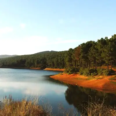 Aydos Ormanı | Optimum Yenişehir