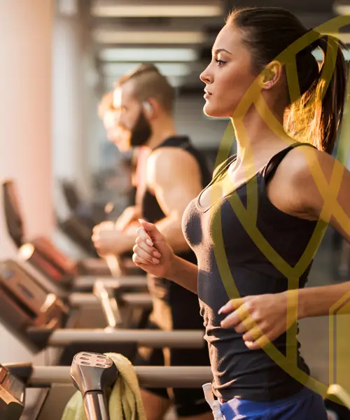 Fitness Salonu | Optimum Yenişehir
